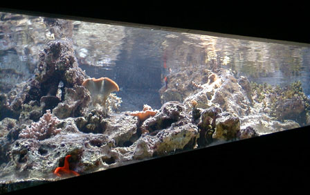 Aquarium