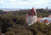 Tallinn Skyline