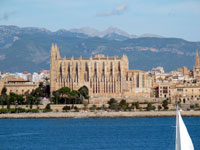 Palma's Cathedral