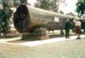 Karri Tree
